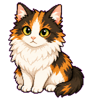 Tilly preview