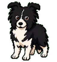 XiKa preview