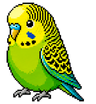 Budgie preview