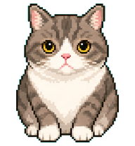 BD Cat preview