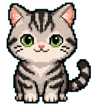 American Shorthair preview