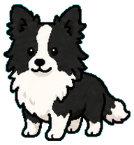 Border Collie preview