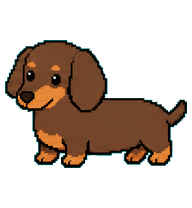 Dachshund preview