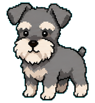Schnauzer preview
