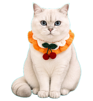 Snowbean preview