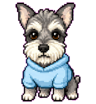 Schnauzer preview