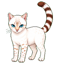 OriMeowMeow preview