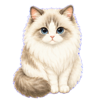 Moxi preview