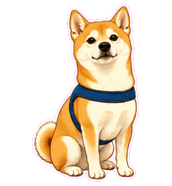 Shiro preview