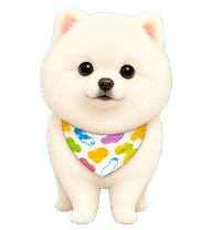 pomeranian dog preview
