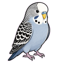 Gray Budgie preview