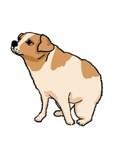 Dancing Dog preview
