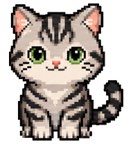 American Shorthair preview
