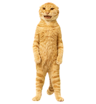 Maodie Pets preview