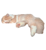puzige preview